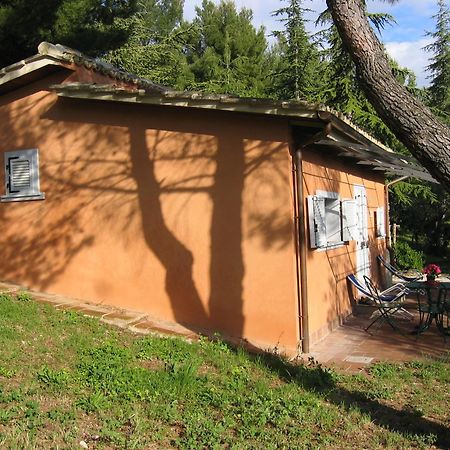 Malvarina Capodacqua  Zewnętrze zdjęcie